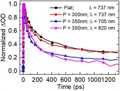 Dynamics of Strong Coupling Between Free Charge Carriers in Organometal Halide Perovskites and Aluminum Plasmonic States